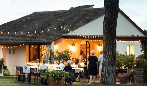 Vineyard Tour & 3 Course Lunch With Wine Pairing